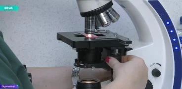 Stafilococul auriu se transmite prin stranut si tuse! Care sunt primele simptome ale infectarii | Demamici.ro