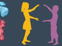 Cand trebuie sa faci sex pentru a avea fata sau baiat. Tatal e responsabil de stabilirea sexului | Demamici.ro