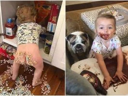 „L-am lasat singur 2 minute si era prea liniste… ” Ce inseamna cu adevarat sa fii parinte de toddler! Top 24 nazdravanii | Demamici.ro