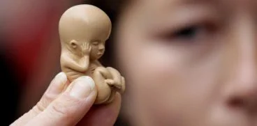 Avortul, interzis prin lege din momentul in care se aud bataile inimii fatului | Demamici.ro