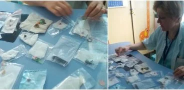 Cele mai ciudate obiecte gasite in stomacul copiilor ajunsi la spital: ace, monede, baterii, medalioane | Demamici.ro