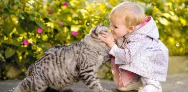 Ce boli poti lua de la pisica. Cei mai predispusi sunt copiii si gravidele | Demamici.ro