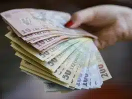 Bani de la stat pentru bone. Ce trebuie sa faci sa primesti 710 lei lunar | Demamici.ro