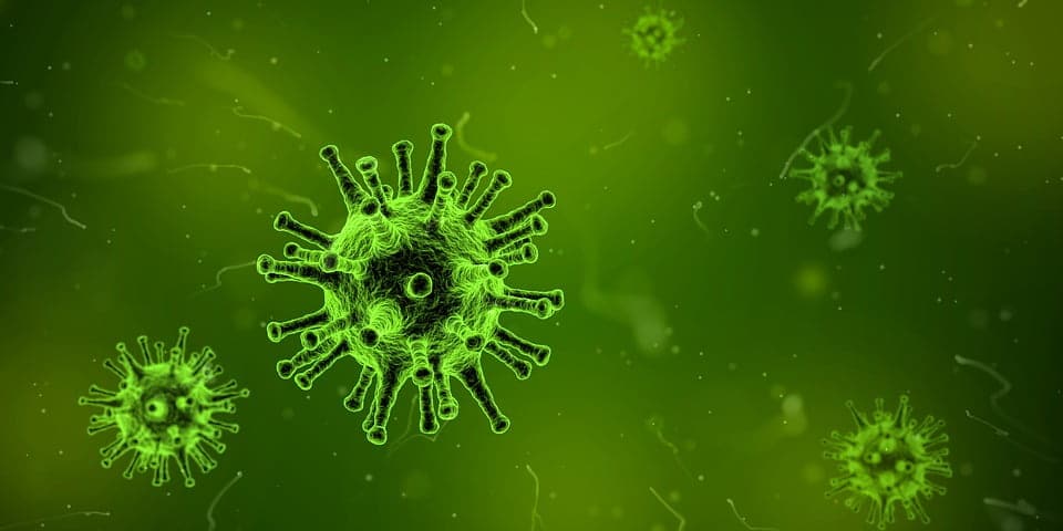 Virus sezonul gripal