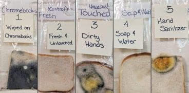 Spalatul mainilor inainte de masa, esential in plin sezon gripal – experiment | Demamici.ro