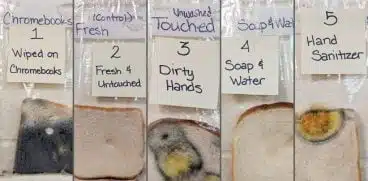 Spalatul mainilor inainte de masa, esential in plin sezon gripal – experiment | Demamici.ro