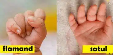 Limbajul bebelusului. Ce incearca sa iti spuna in functie de tipul de plans VIDEO | Demamici.ro