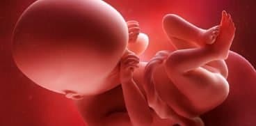 Sarcina pe saptamani: saptamana 10 de sarcina | Demamici.ro