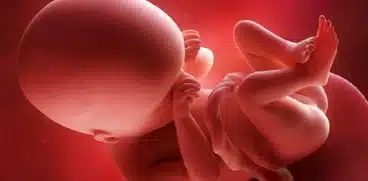 Sarcina pe saptamani: saptamana 10 de sarcina | Demamici.ro