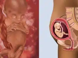 Sarcina pe saptamani: saptamana 12 de sarcina | Demamici.ro