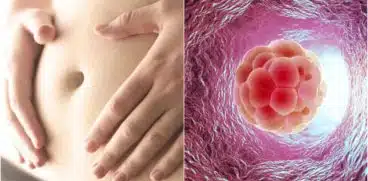 Sarcina pe saptamani: saptamana 3 de sarcina. Primele semne | Demamici.ro