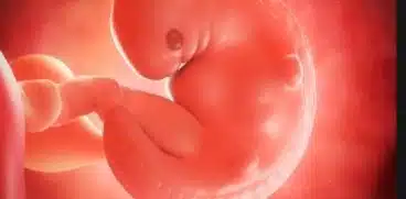 Sarcina pe saptamani: saptamana 6 de sarcina | Demamici.ro