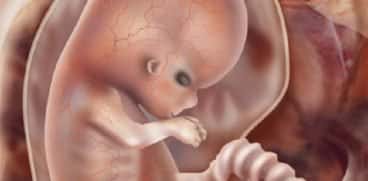 Sarcina pe saptamani: saptamana 8 de sarcina | Demamici.ro