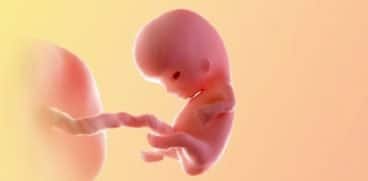 Sarcina pe saptamani: saptamana 9 de sarcina | Demamici.ro