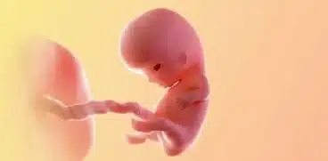 Sarcina pe saptamani: saptamana 9 de sarcina | Demamici.ro