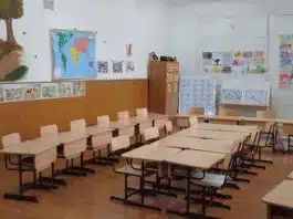 Scoli si gradinite, inchise din cauza gripei. Cursuri suspendate pentru 3 zile | Demamici.ro