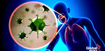 Coronavirus – declaratii ale Organizatiei Mondiale a Sanatatii. Ce trebuie sa stie parintii | Demamici.ro