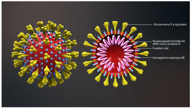 Dr Mihai Craiu, sfaturi pentru parinti, in contextul tensiunii generata de coronavirus: "2% dintre toti bolnavii inregistrati au fost copii!" | Demamici.ro