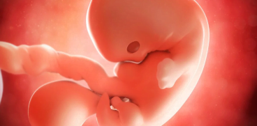 Sarcina pe saptamani: saptamana 7 de sarcina | Demamici.ro