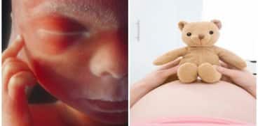 Sarcina pe saptamani: saptamana 21 de sarcina | Demamici.ro