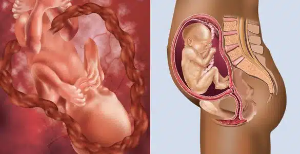 Sarcina pe saptamani: saptamana 23 de sarcina | Demamici.ro