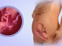 Sarcina pe saptamani: saptamana 26 de sarcina | Demamici.ro