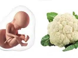 Sarcina pe saptamani: saptamana 27 de sarcina | Demamici.ro