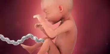 Sarcina pe saptamani: saptamana 30 de sarcina | Demamici.ro