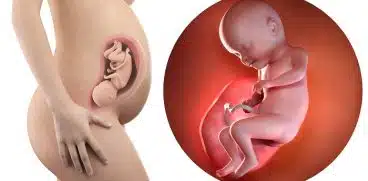 Sarcina pe saptamani: saptamana 31 de sarcina | Demamici.ro