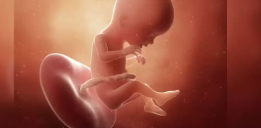 Sarcina pe saptamani: Saptamana 17 de sarcina | Demamici.ro