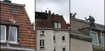 Momentul în care un băiețel e salvat de pe acoperișul unui bloc: „A avut mai mulți îngeri păzitori” | Demamici.ro