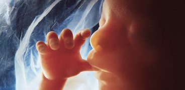 Studiu: Ce vede bebelușul înainte să se nască | Demamici.ro