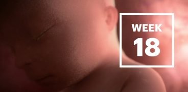 Sarcina pe saptamani: Saptamana 18 de sarcina | Demamici.ro