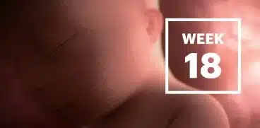 Sarcina pe saptamani: Saptamana 18 de sarcina | Demamici.ro