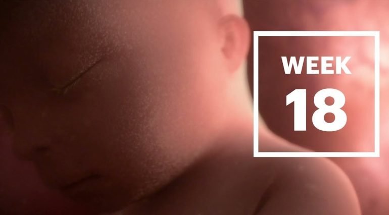 Sarcina pe saptamani: Saptamana 18 de sarcina | Demamici.ro