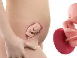 Sarcina pe saptamani: saptamana 20 de sarcina | Demamici.ro