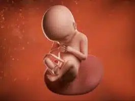 Sarcina pe saptamani: saptamana 22 de sarcina | Demamici.ro