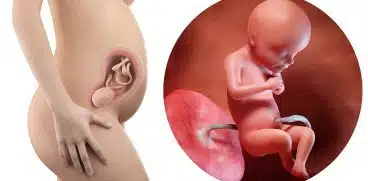 Sarcina pe saptamani: saptamana 28 de sarcina | Demamici.ro