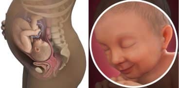 Sarcina pe saptamani: saptamana 37 de sarcina | Demamici.ro