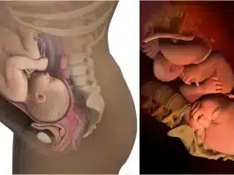 Sarcina pe saptamani: saptamana 40 de sarcina | Demamici.ro