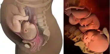 Sarcina pe saptamani: saptamana 40 de sarcina | Demamici.ro