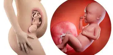 Sarcina pe saptamani: saptamana 34 de sarcina | Demamici.ro