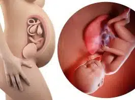 Sarcina pe saptamani: saptamana 38 de sarcina | Demamici.ro