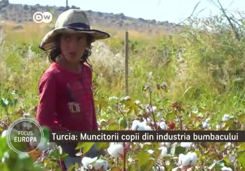 Copiii din Turcia, exploatați de industria hainelor. O fetiță de 10 ani primește 1,6 euro/zi pentru 20 kg de bumbac cules