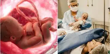 Celulele stem. De ce trebuie să recoltez celule stem la nașterea copilului. Informații complete despre recoltare, stocare, utilizare | Demamici.ro