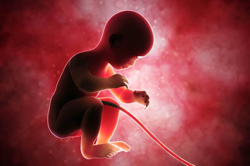Celulele stem. De ce trebuie să recoltez celule stem la nașterea copilului. Informații complete despre recoltare, stocare, utilizare | Demamici.ro