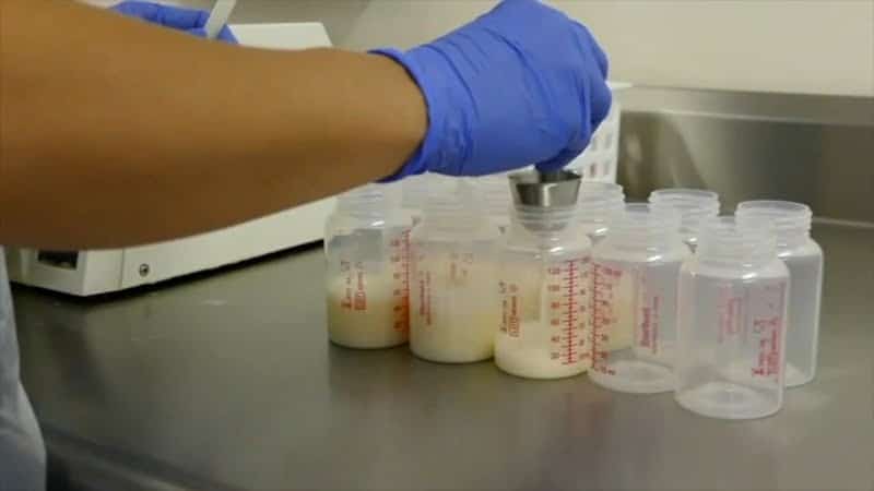 Un anumit element din laptele matern ar putea vindeca și preveni cancerul. Ce spun cercetătorii | Demamici.ro