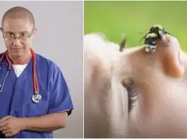 Ce trebuie să știi despre înțepătura de albină. Lucruri care vă pot salva viața, explicate de Dr. Tudor Ciuhodaru | Demamici.ro
