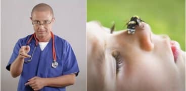 Ce trebuie să știi despre înțepătura de albină. Lucruri care vă pot salva viața, explicate de Dr. Tudor Ciuhodaru | Demamici.ro
