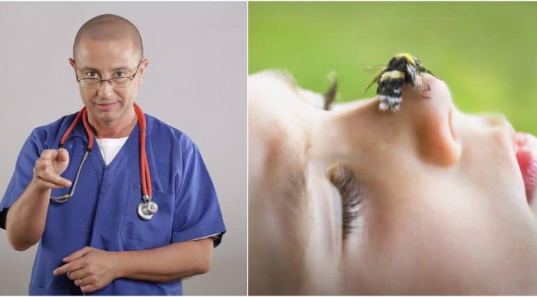 Ce trebuie să știi despre înțepătura de albină. Lucruri care vă pot salva viața, explicate de Dr. Tudor Ciuhodaru | Demamici.ro